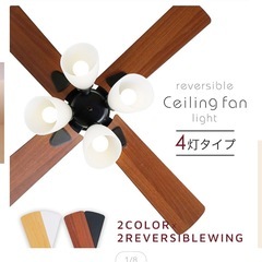 シーリングファンライト
の画像