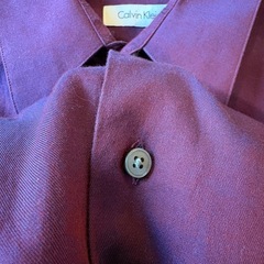【Calvin Klein】タマムシ調ドレスシャツ（メンズL相当の画像