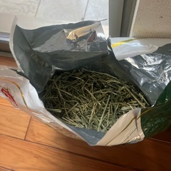 チモシー　バニーグレードの画像