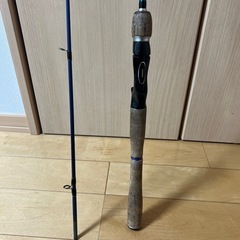 バスワンベイトロット　の画像