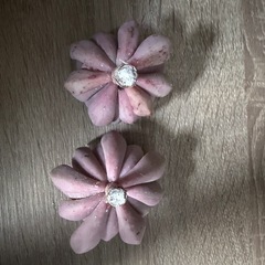 多肉植物    ピンクプリティカット苗
の画像