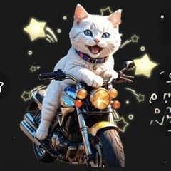 バイク仲間募集╰(*´︶`*)╯♡