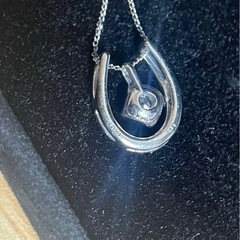 ネックレス プラチナ 鑑定書付きの画像