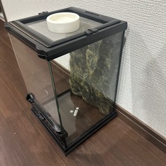 グラステラリウムナノPT2601の画像