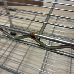 スチールラック　キャスター付の画像