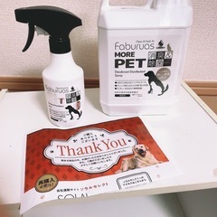 ペット 消臭 詰替え 犬 猫 トイレ 消臭 ペット用消臭剤 無香料 日本製 特許技術の水使用（特許第3558783号）ファビュラスペット2L＋300ml空スプレーボトル付 の画像