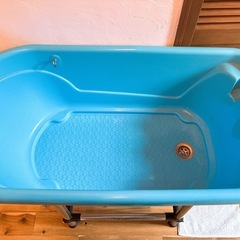 ドッグバスの画像