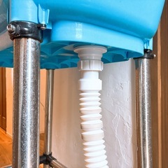 ドッグバスの画像