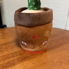 サボテンの画像