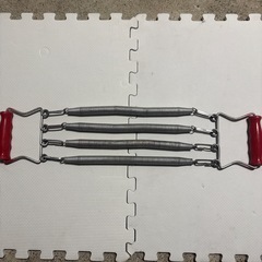 トレーニングセットの画像