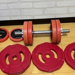 【3月29日引き取りで300円‼️】ダンベル　アイロテック　筋トレ　断捨離の画像