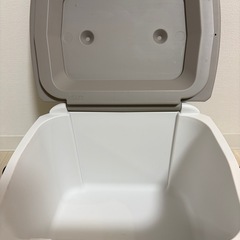 Coleman  クーラーボックス　16L の画像