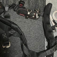 タジマハーネス一式の画像