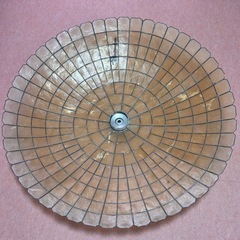 貝殻製ランプシェードの画像