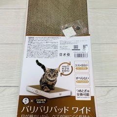 猫トイレの画像
