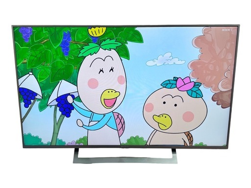 SONY ソニー 49V型 液晶テレビ KJ-49X8300D 2017年製