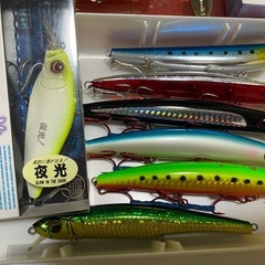 新品未使用　シーバス•ヒラメ用ルアー　ケース付の画像