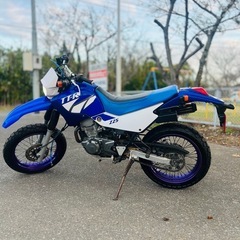 ヤマハ トラッカー TT-R 225の画像