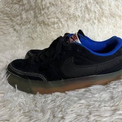 【美品】Nike SB Pogo Plus ブラック ガムソール 23cmの画像