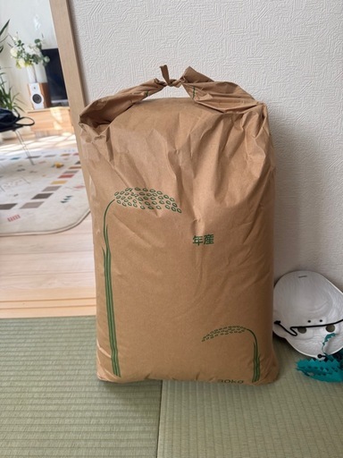 令和7年茨城産コシヒカリ30kg玄米