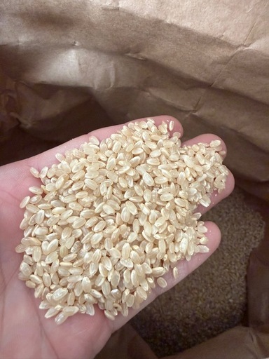 令和7年茨城産コシヒカリ30kg玄米