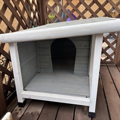 猫の小屋の画像