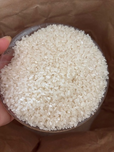 令和7年産 山形米　精米２７キロ　残り10袋