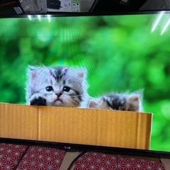 LG 液晶テレビ 42LA6600ジャンク扱いの画像