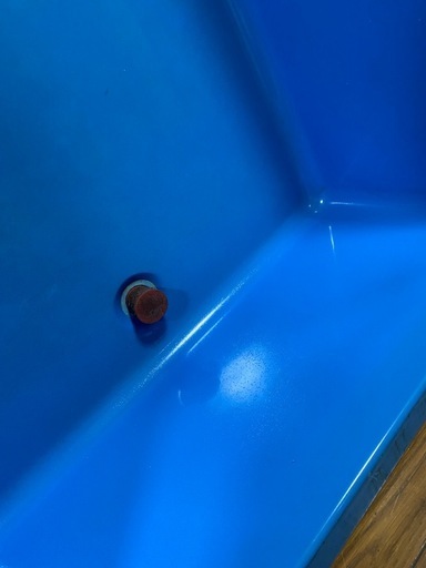 金魚すくい　らんちゅう　水槽