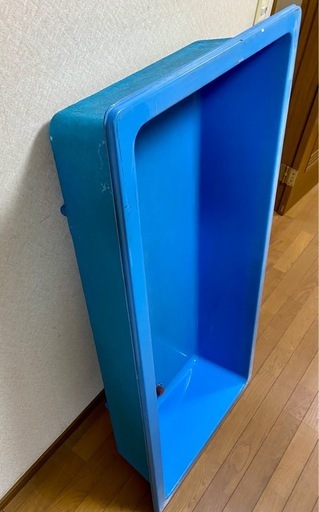 金魚すくい　らんちゅう　水槽