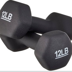 ダンベル2個セット 5.4 kgの画像