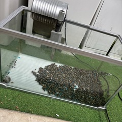 Tetra水槽の画像
