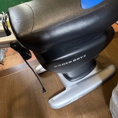 ロディオボーイの画像