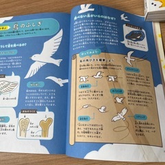 【絵本】小さい子向けのお勉強セットの画像