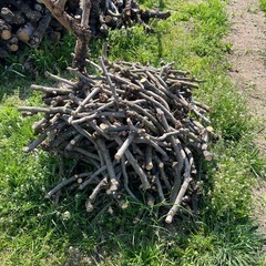 薪(柿とブドウ)の画像