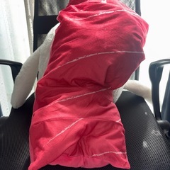 ぬいぐるみ！大きさ40センチ位あります。
の画像