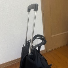 リュック　キャリーにもなります。の画像