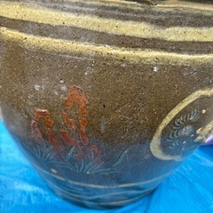 でかい水瓶　の画像