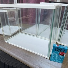 ガラス水槽の画像