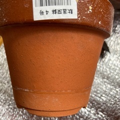 昔ながらの鉢　小さめ　素焼き　駄鉢　８個の画像