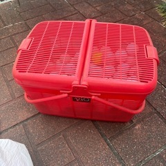 ゴルフボール　買い物カゴサイズいっぱい程度の画像