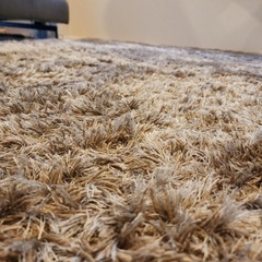 Boconcept高級カーペット　中古安売り⭐️の画像