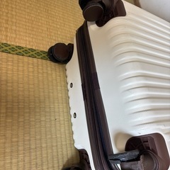 【急募】キャリーケースの画像