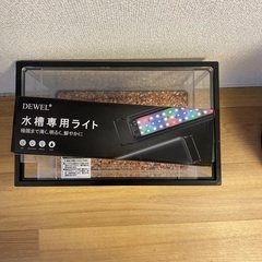 水槽とライトの画像