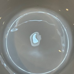 A8125【フッチェンロイター】エステール ティーカップ＆ソーサー 1客の画像