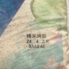 米10kgの画像