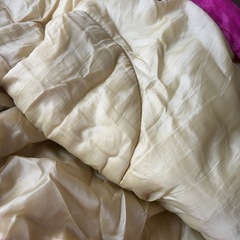 シュラフとmaniflex非売品どこでもピローの画像