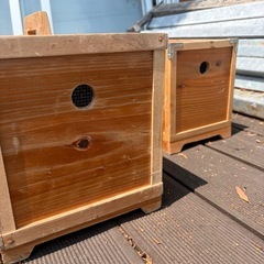 鶏  運ぶ箱です。の画像