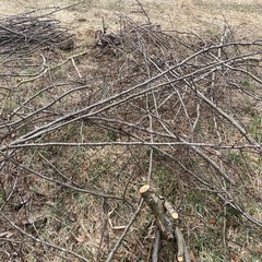 枝木などの画像