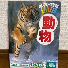 【無料お譲り】小学館の図鑑NEO/科学の実験&恐竜/学研の図鑑・動物付きの画像